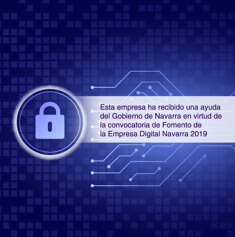 Fomento de la Empresa Digital Navarra 2019