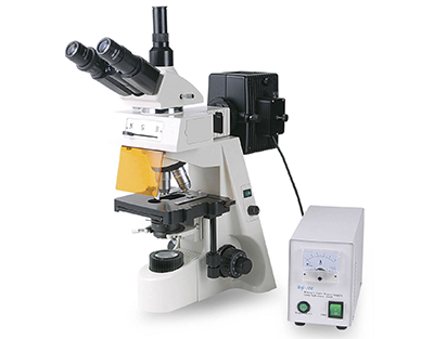 LAMPE 100 W DC. *