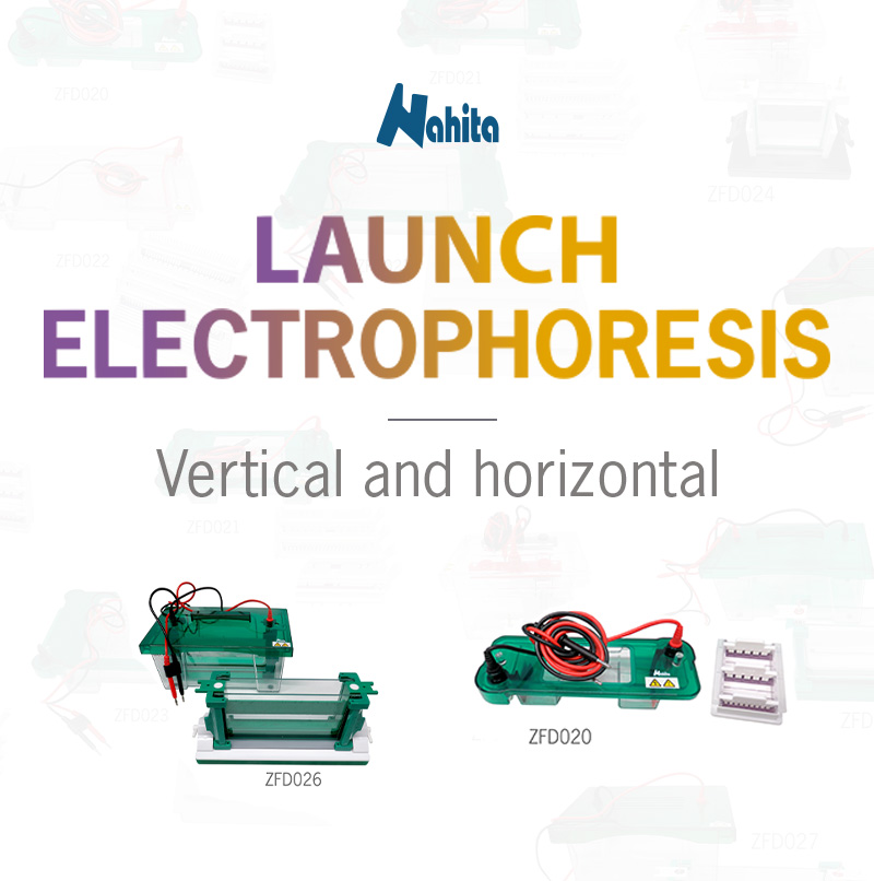 🔬 Innovation in the Lab. Introducing New Electrophoresis Tanks
