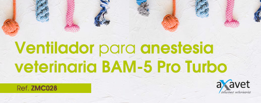 🐾 Nuevo BAM-5 Pro Turbo. Ventilación veterinaria de alta precisión 🌟