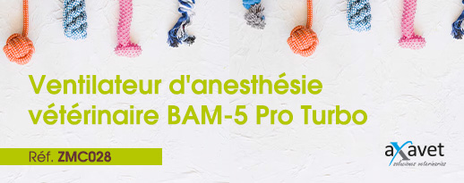 🐾 Nouveau BAM-5 Pro Turbo. Ventilation vétérinaire de haute précision 🌟
