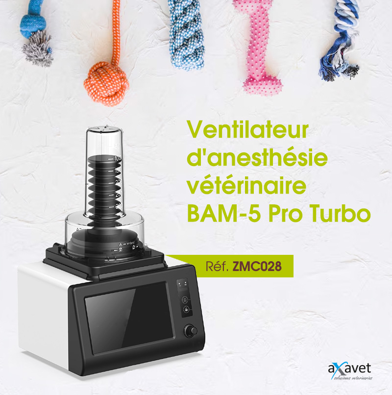 🐾 Nouveau BAM-5 Pro Turbo. Ventilation vétérinaire de haute précision 🌟