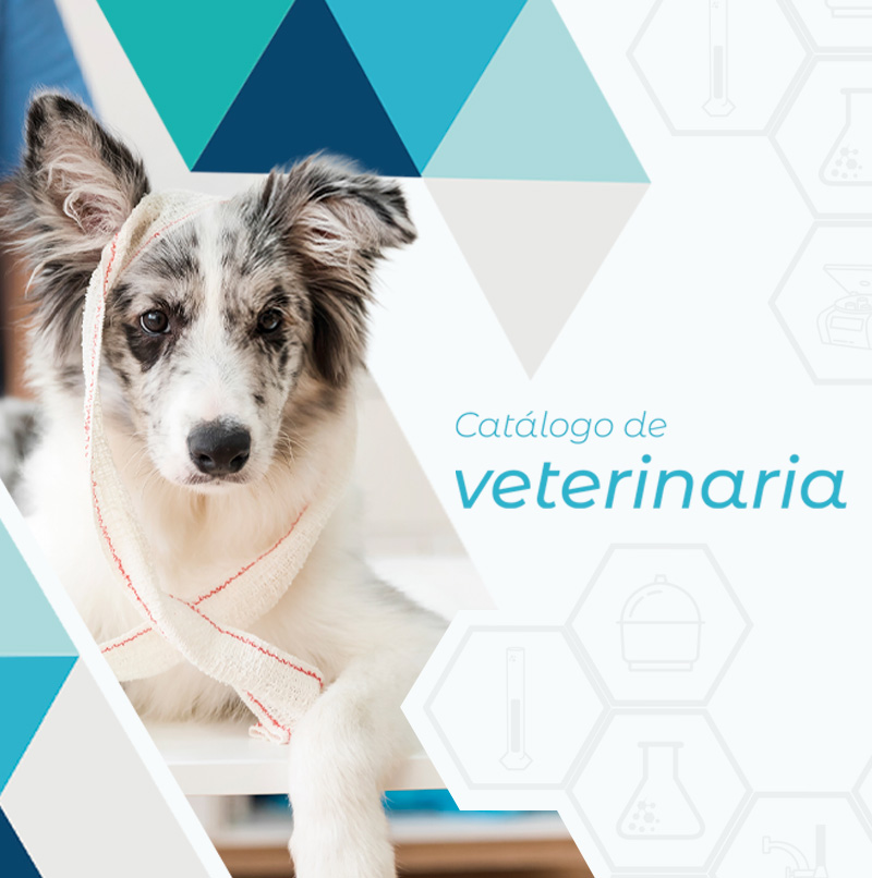 Nuevo Catálogo de Equipamiento Veterinario 🐶🐱
