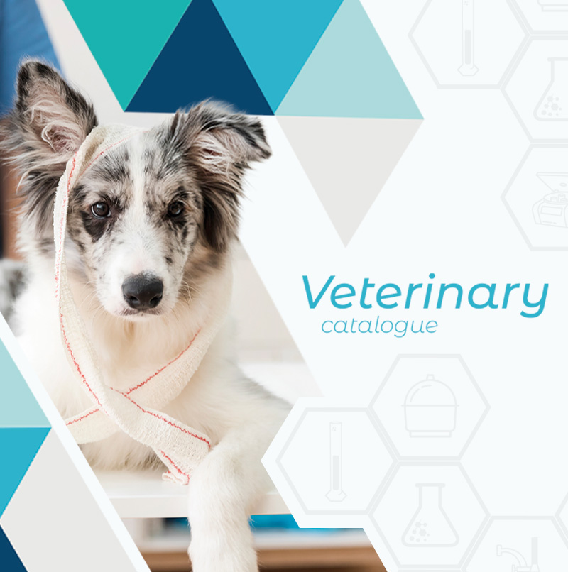 New Veterinary Equipment Catalog🐶🐱