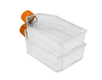 Treated cell culture flask, 75cm2, 250mL, standard cap, P/100