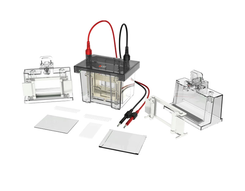 Cubeta electroforesis vertical DL-Mini01