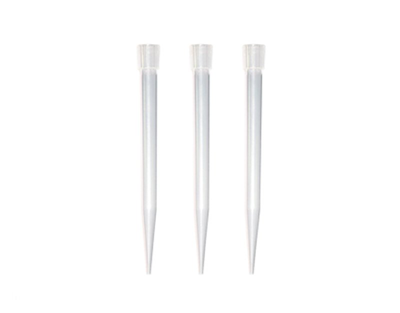 Punta macro 5 ml, B/100