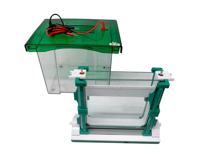 Cubeta de electroforesis vertical 8000 mL, 1-2 geles