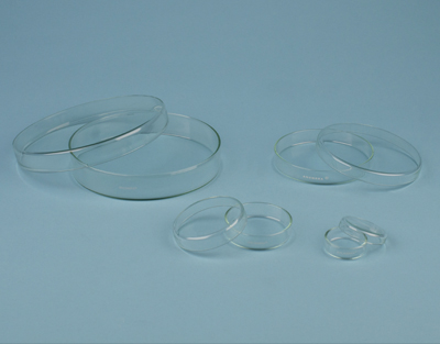 Petri dish 60 mm, H 12 mm ANUMBRA