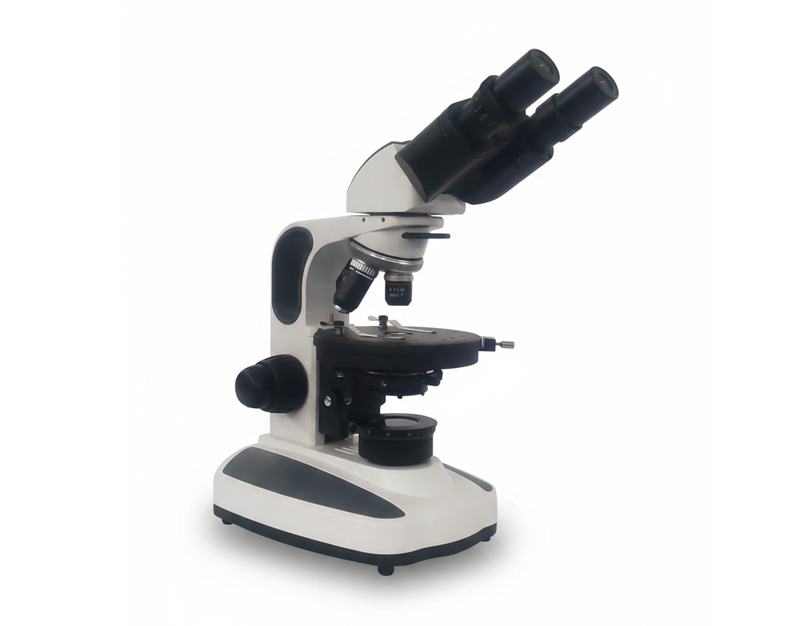 Microscope binoculaire polarisant, série 400