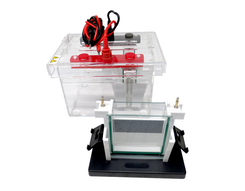 Cubeta de electroforesis vertical, 1000Ml 1-4 geles