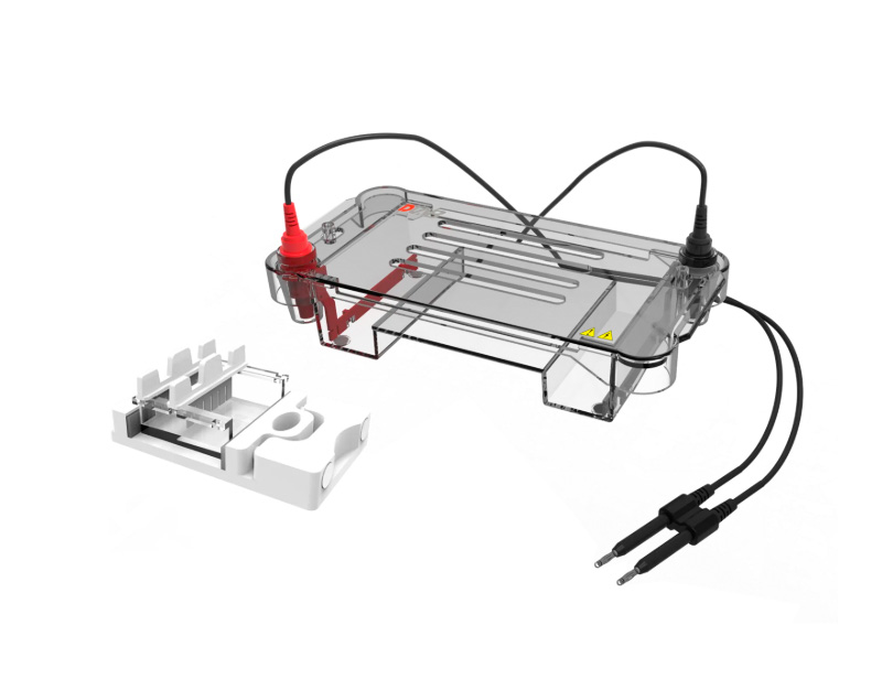 DL-SUB01 Horizontal Electrophoresis Tank