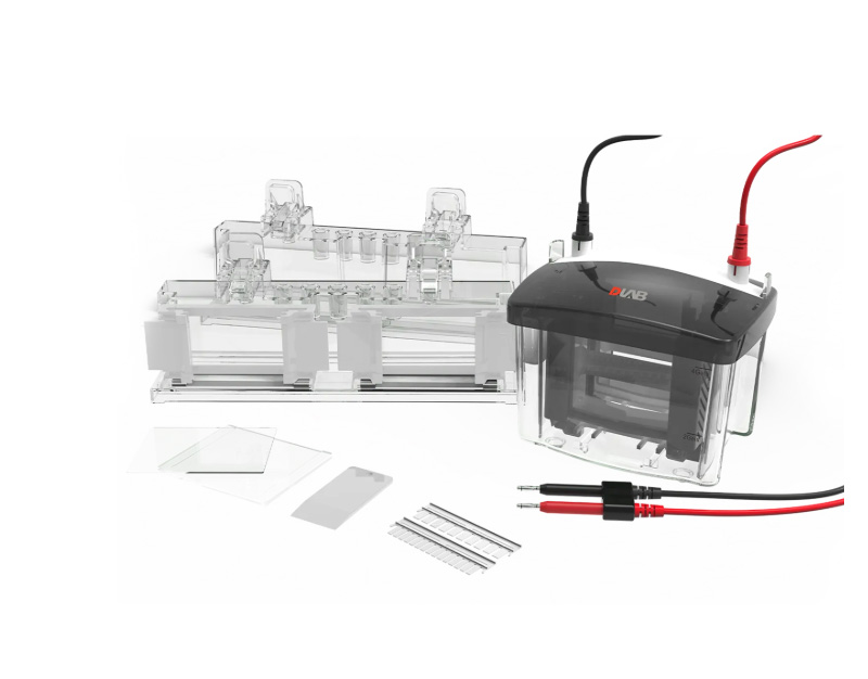 DL-Mini04 Vertical Electrophoresis Tank